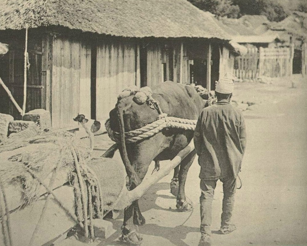 Loat anh hiem co ve Nhat Ban nam 1893-Hinh-13